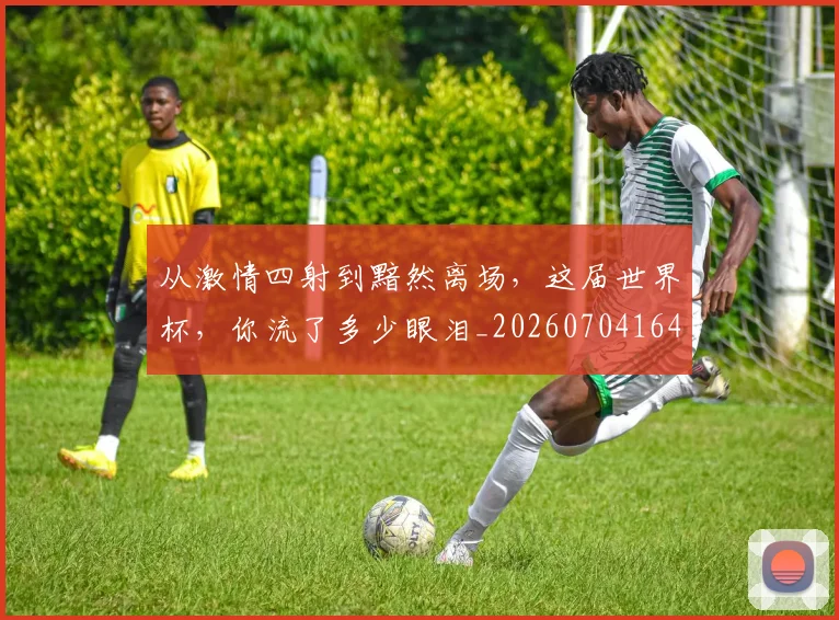 从激情四射到黯然离场，这届世界杯，你流了多少眼泪_20260704164100