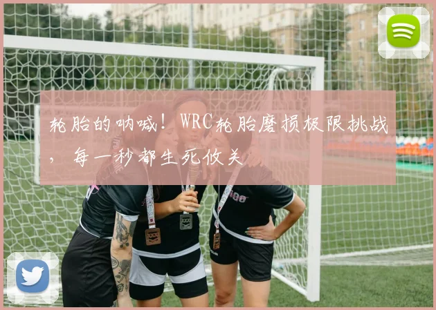 轮胎的呐喊！WRC轮胎磨损极限挑战，每一秒都生死攸关