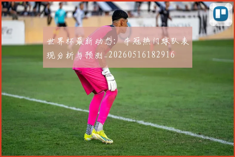 世界杯最新动态:夺冠热门球队表现分析与预测_20260516182916
